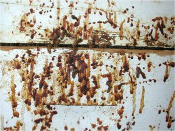 The entrance to a bee hive covered in bee diarrhoea. Yum. (Photo: Huang 2011)